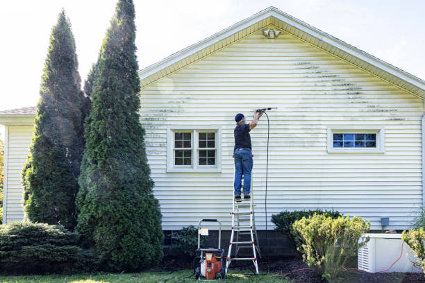 Best Dumpster Area Cleaning  in Paradise, CA